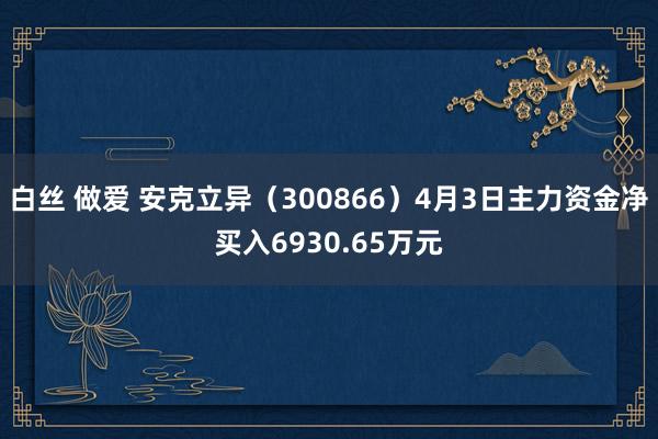 白丝 做爱 安克立异（300866）4月3日主力资金净买入6930.65万元