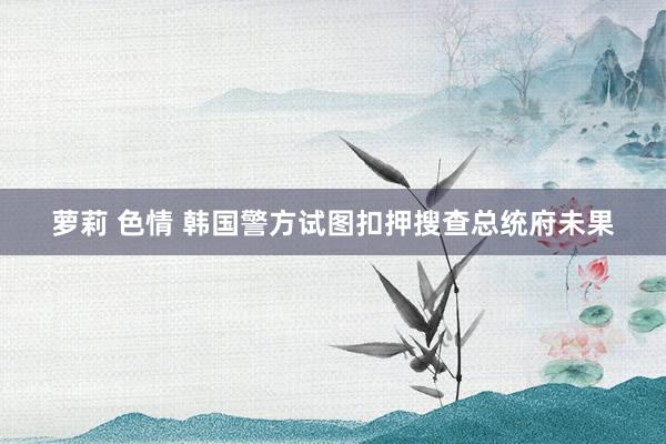 萝莉 色情 韩国警方试图扣押搜查总统府未果