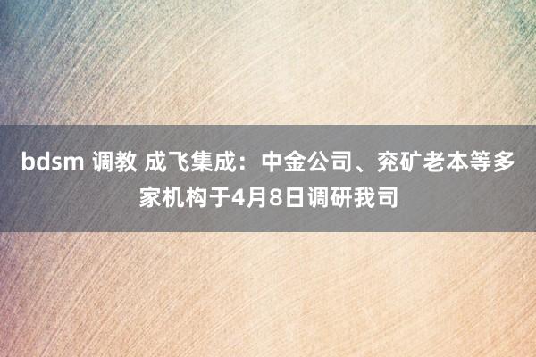 bdsm 调教 成飞集成：中金公司、兖矿老本等多家机构于4月8日调研我司