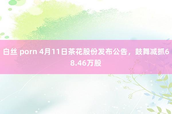 白丝 porn 4月11日茶花股份发布公告，鼓舞减抓68.46万股