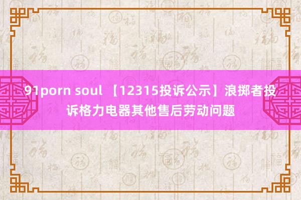 91porn soul 【12315投诉公示】浪掷者投诉格力电器其他售后劳动问题