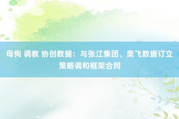 母狗 调教 协创数据：与张江集团、奥飞数据订立策略调和框架合同