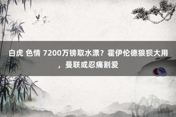 白虎 色情 7200万镑取水漂？霍伊伦德狼狈大用，曼联或忍痛割爱