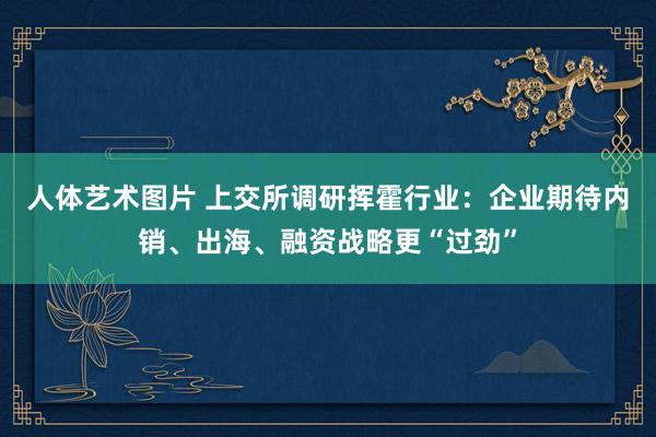 人体艺术图片 上交所调研挥霍行业：企业期待内销、出海、融资战略更“过劲”