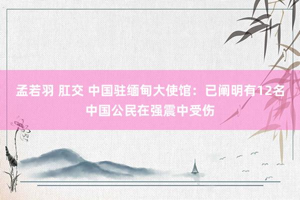孟若羽 肛交 中国驻缅甸大使馆：已阐明有12名中国公民在强震中受伤